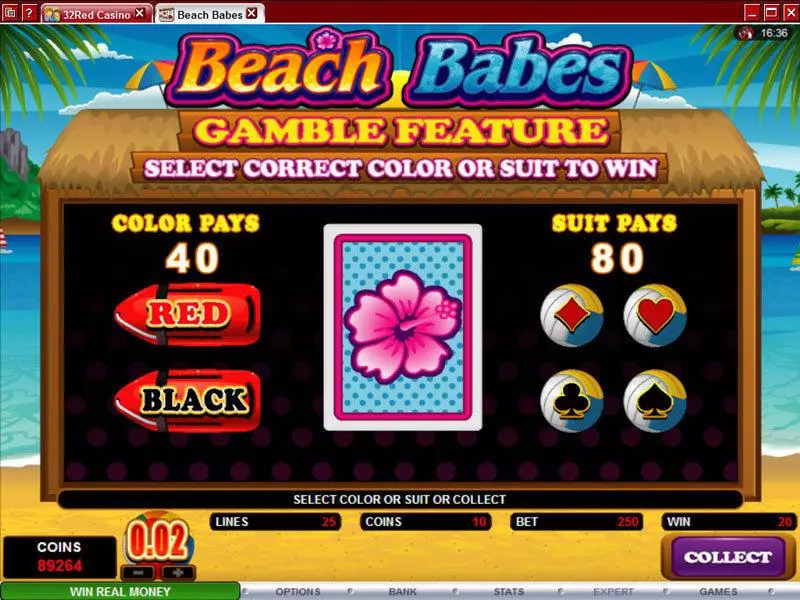 Beach Babes Microgaming Slot Game released in   - Free Spins
