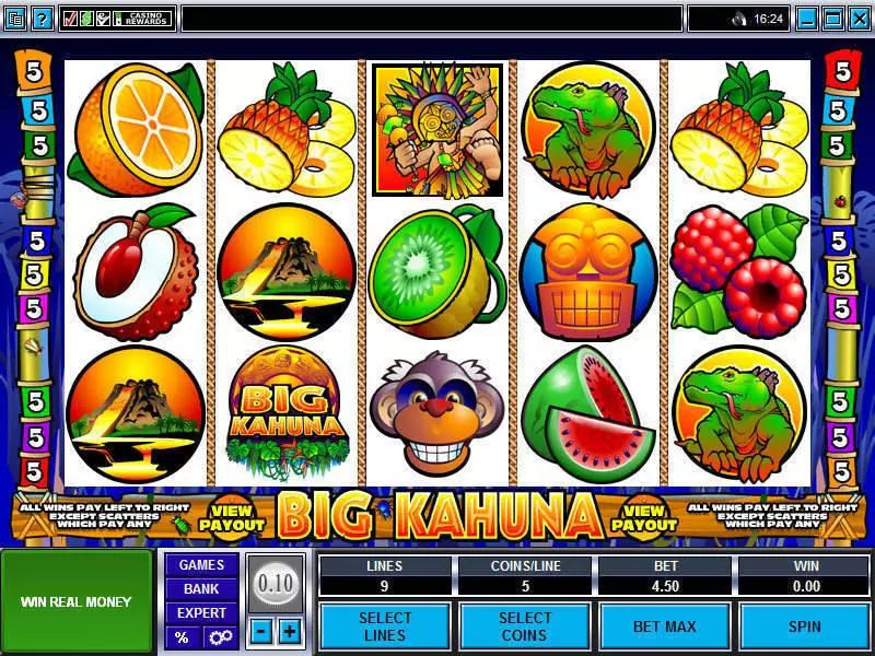 Big Kahuna Microgaming Slot Game released in   - Second Screen Game