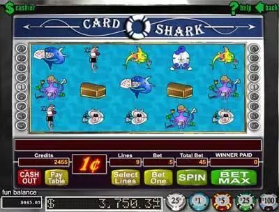 Card Shark RTG Slot Game released in   - Second Screen Game