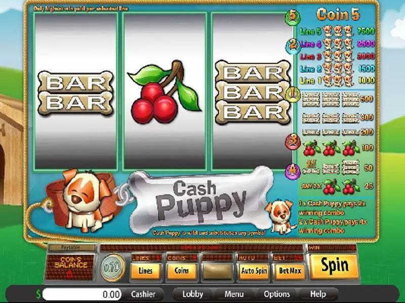 Cash Puppy Saucify Slot Game released in   - 