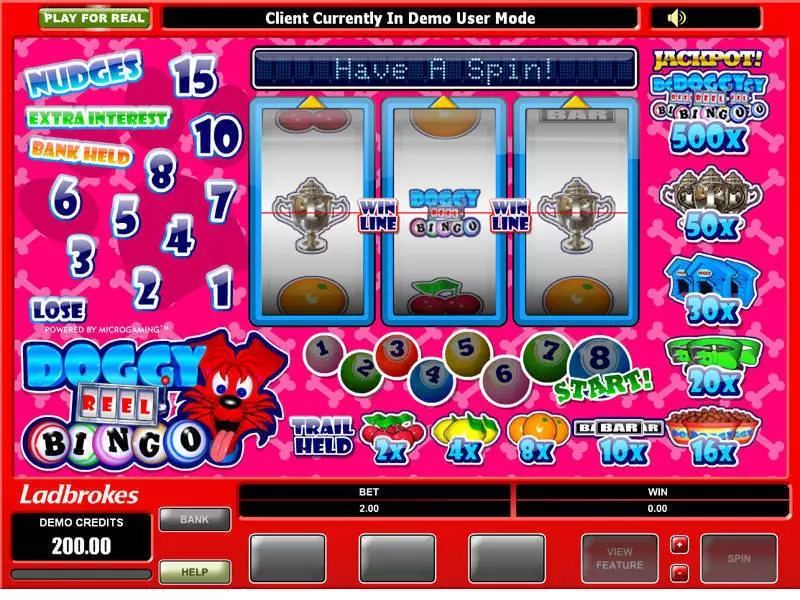 Doggy Reel Bingo Microgaming Slot Game released in   - Second Screen Game