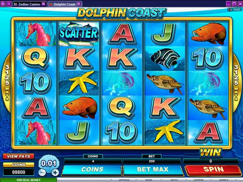 Dolphin Coast Microgaming Slot Game released in   - Free Spins