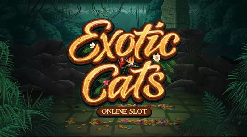 Exotic Cats Microgaming Slot Game released in August 2018 - Free Spins