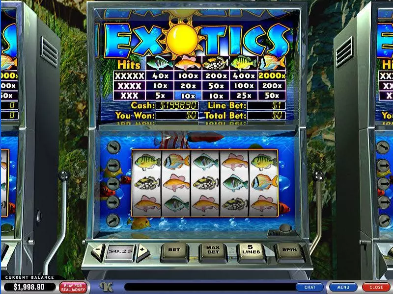 Exotics PlayTech Slot Game released in   - 