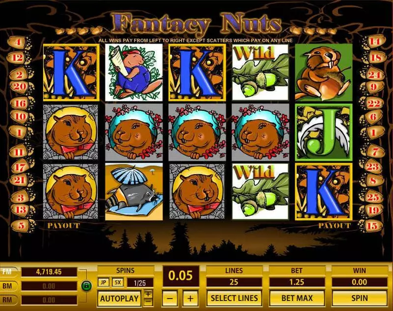 Fantacy Nuts Topgame Slot Game released in   - Free Spins