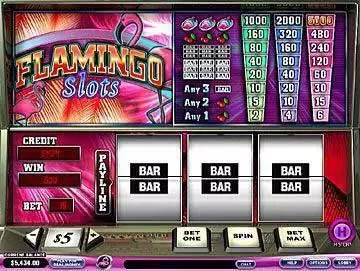 Flamingo PlayTech Slot Game released in   - 