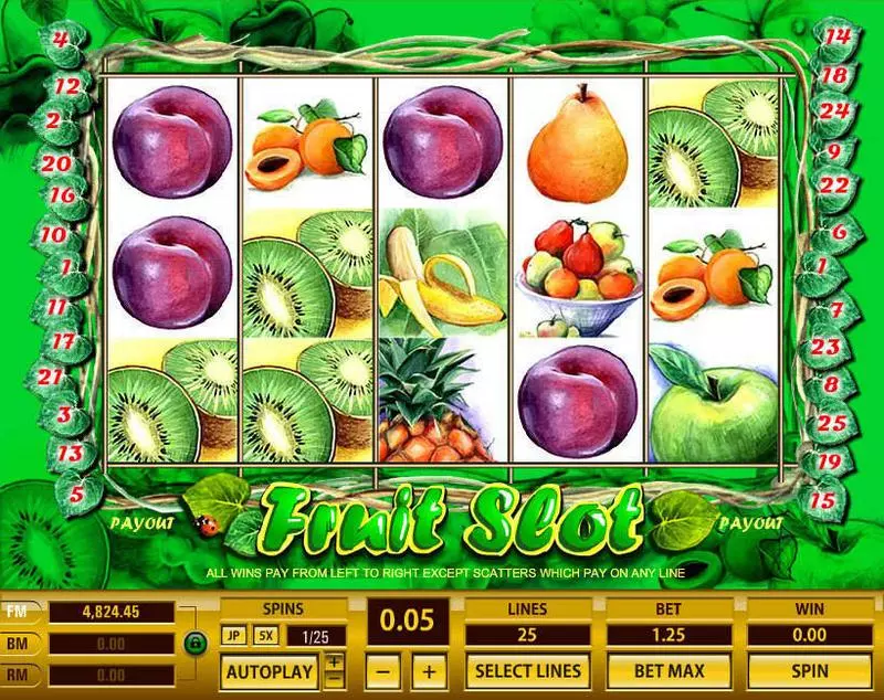 Fruit 25 Lines Topgame Slot Game released in   - Free Spins