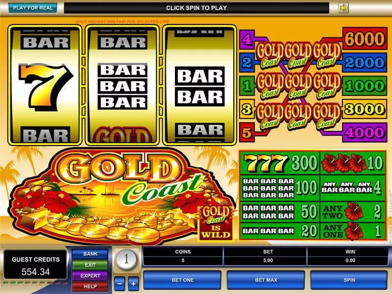 Gold Coast Microgaming Slot Game released in   - 