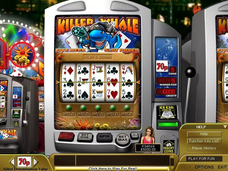 Killer Whale Poker Boss Media Slot Game released in   - 