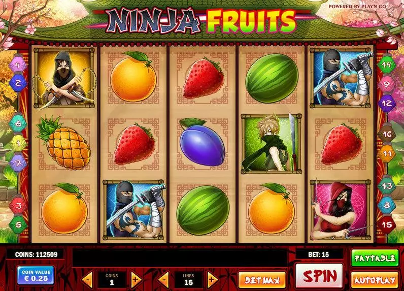 Ninja Fruits Play'n GO Slot Game released in   - On Reel Game