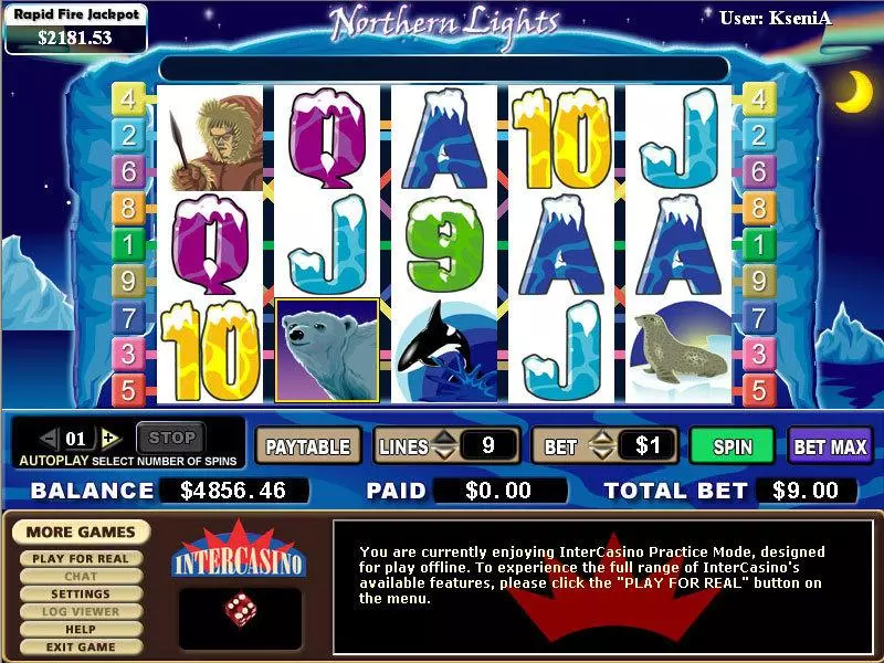 Northern Light Novomatic Slot Game released in   - 