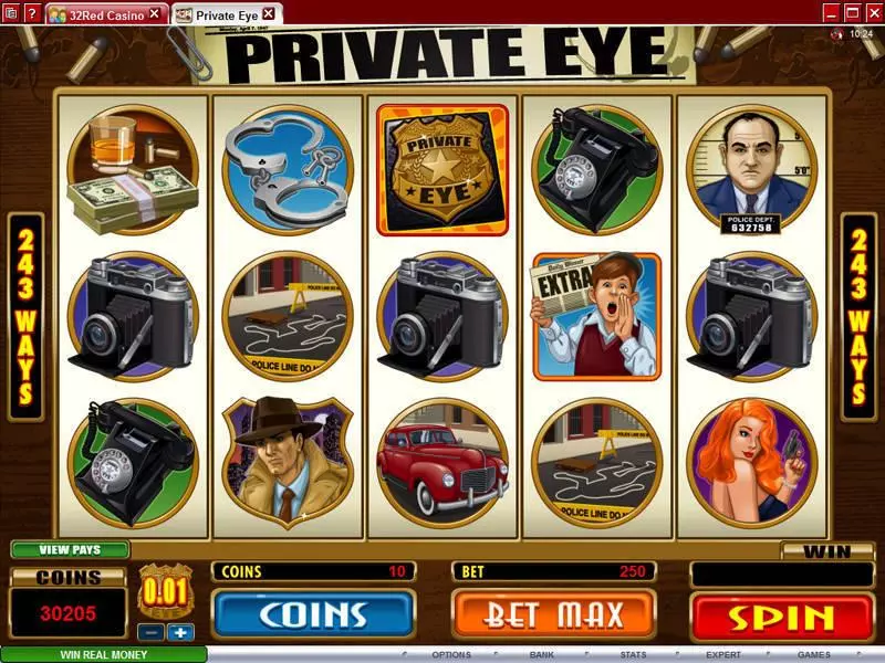 Private Eye Microgaming Slot Game released in   - Free Spins