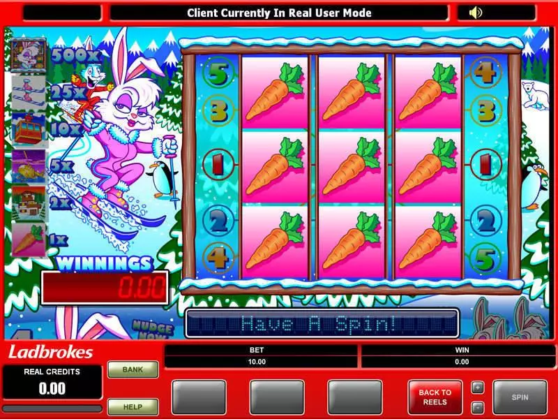 Ski Bunny Microgaming Slot Game released in   - Second Screen Game
