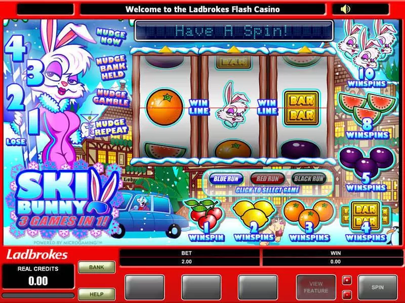 Ski Bunny Microgaming Slot Game released in   - Second Screen Game