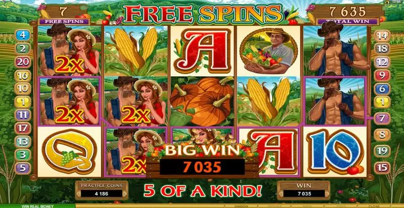 Sweet Harvest Microgaming Slot Game released in   - Free Spins