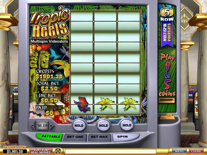 Tropic Reels PlayTech Slot Game released in   - 