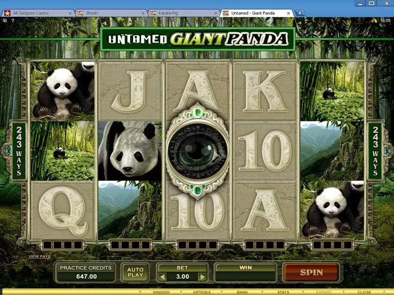 Untamed - Giant Panda Microgaming Slot Game released in   - Free Spins