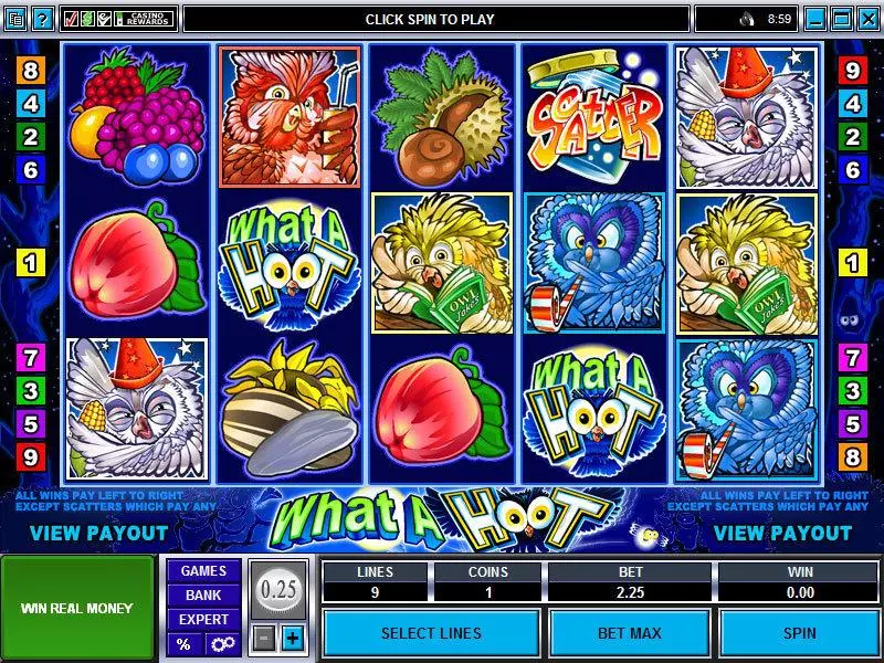 What a Hoot Microgaming Slot Game released in   - 